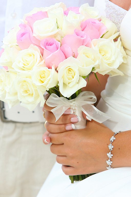 White Pink Rose