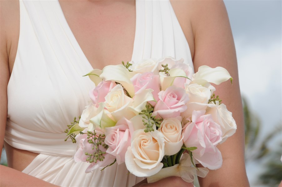 Pastelle Roses