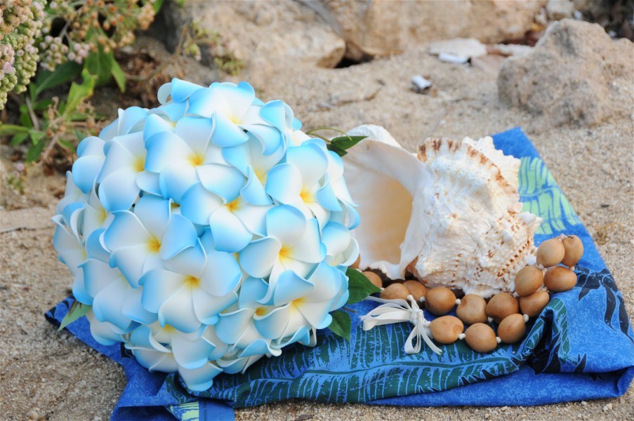 hawaiian flowers