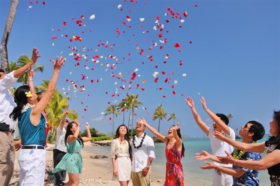 rose 
petals